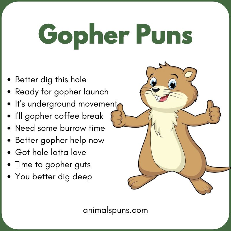 Cute Gopher Puns: gopher pun illustration