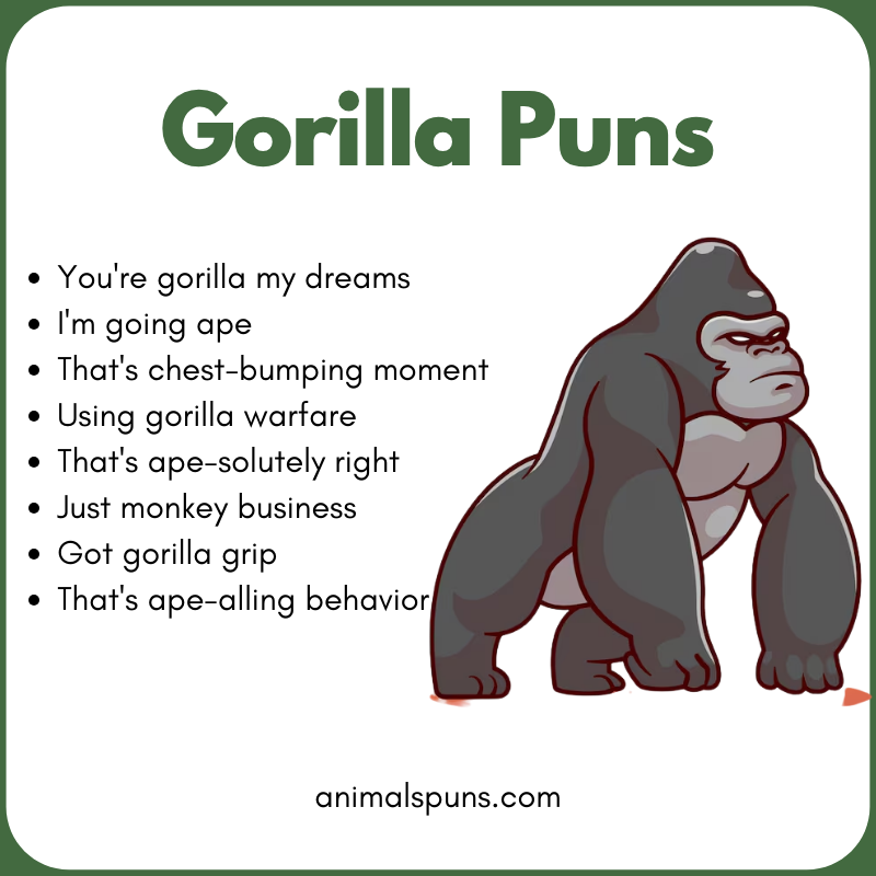 Short One-Liner Gorilla Puns: gorilla pun illustration