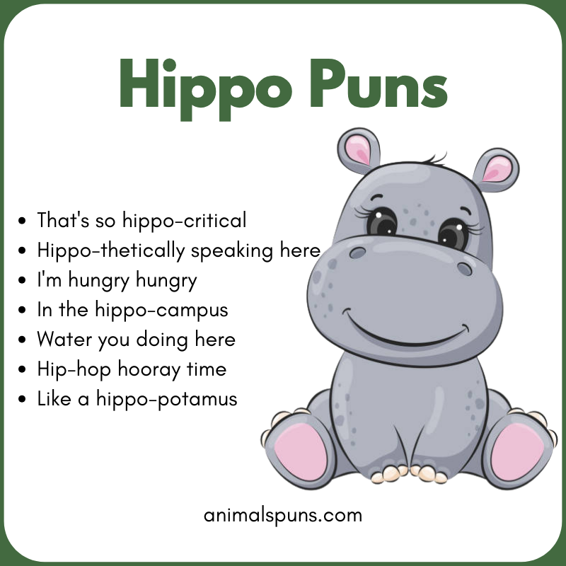 Cute Hippo Puns: hippo pun illustration