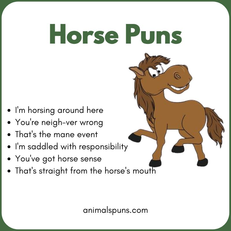 Short One-Liner Horse Puns: horse pun illustration