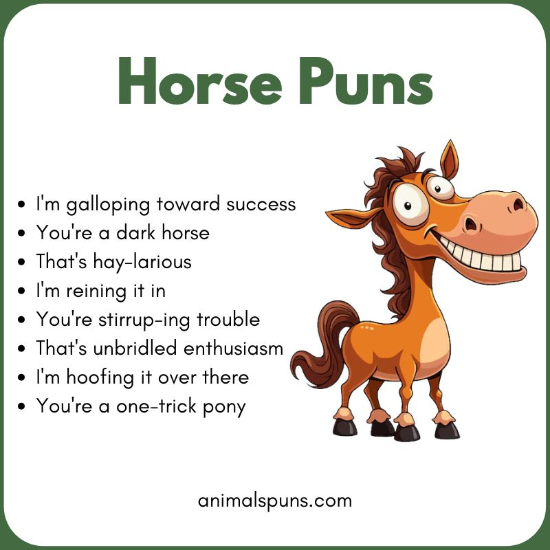 Best Horse Puns of All Time 🐴: horse pun illustration