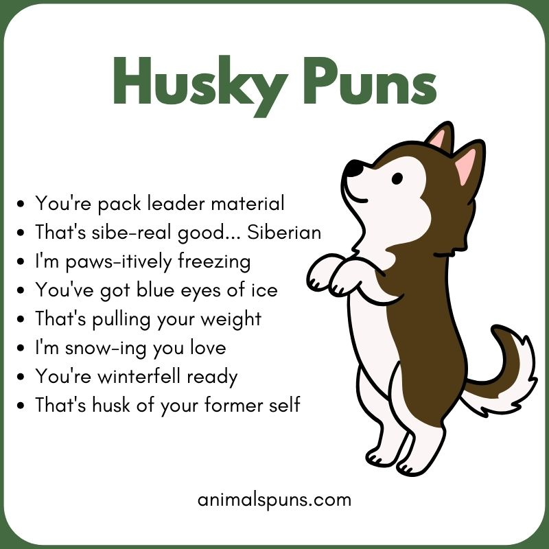 Clever Husky Name Puns: husky pun illustration