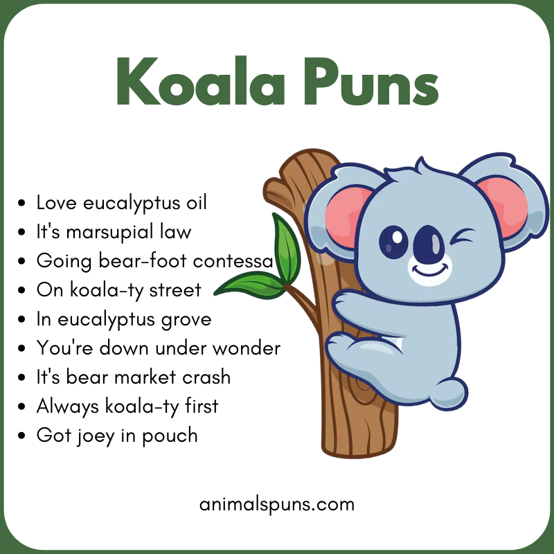 Best Koala Puns of All Time 🐨: koala pun illustration