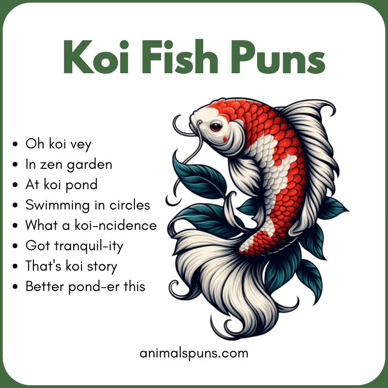 Koi Fish One-Liners: koi fish pun illustration