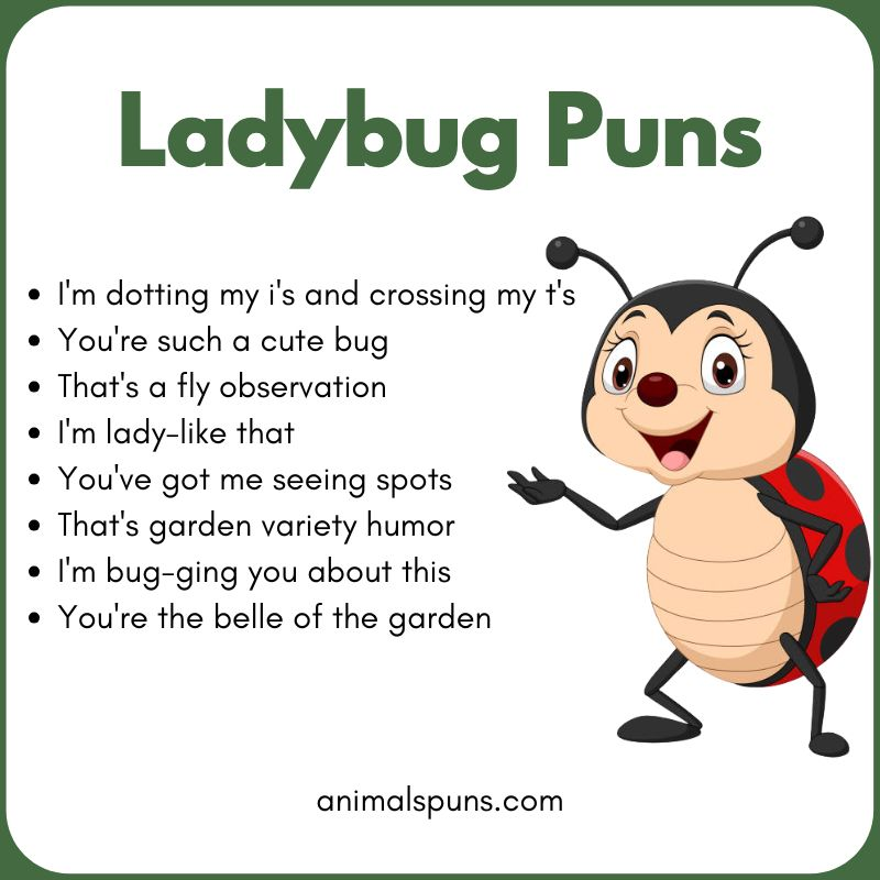 Ladybug Puns for Kids: ladybug pun illustration