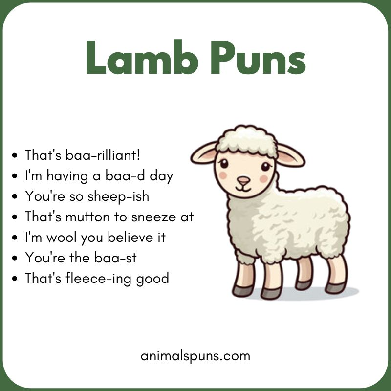 Cute Lamb Puns for Kids: lamb pun illustration