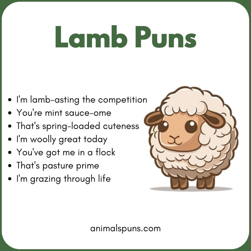 Best Lamb Puns of All Time: lamb pun illustration