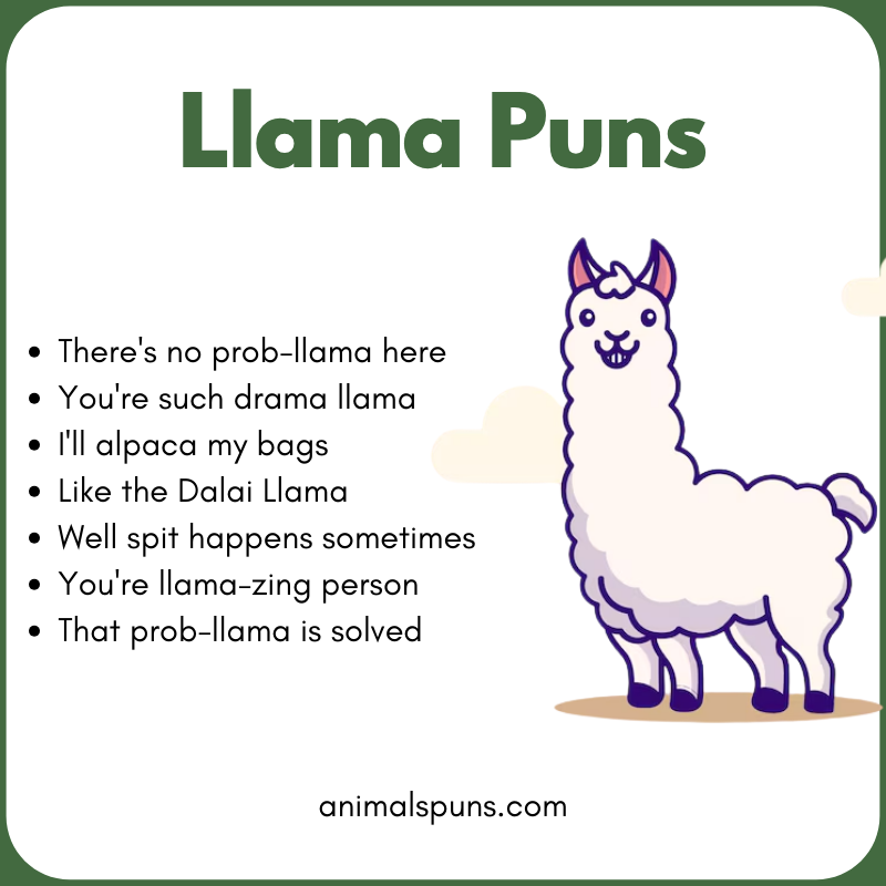 Short Llama One-Liner Puns: llama pun illustration