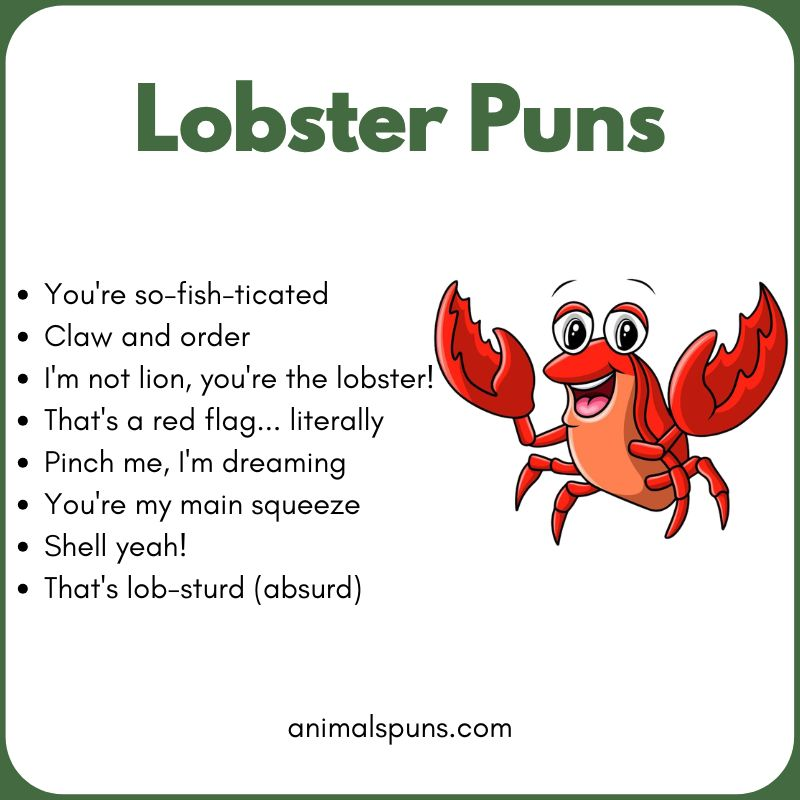 Best Lobster Puns of All Time: lobster pun illustration