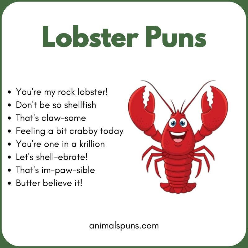 Cute Lobster Puns for Social Media: lobster pun illustration