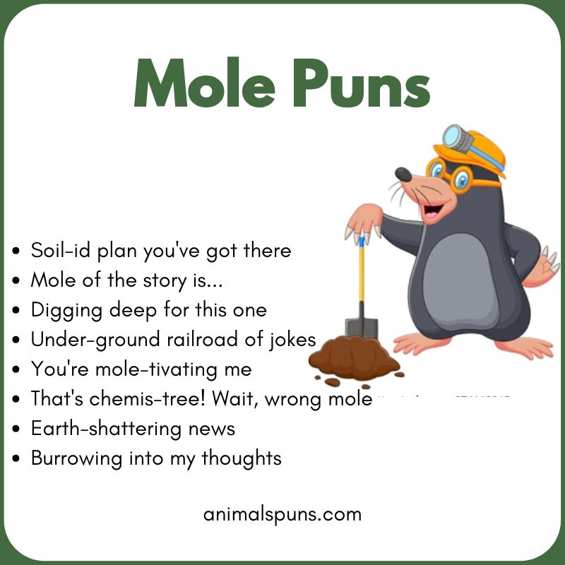 Cute Mole Puns for Kids: mole pun illustration
