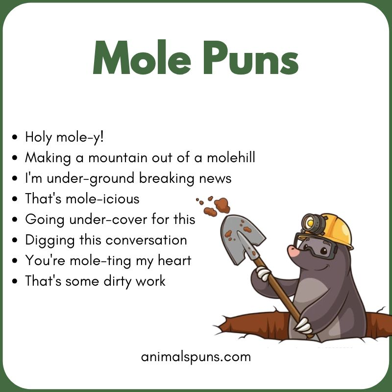Best Mole Puns of All Time: mole pun illustration