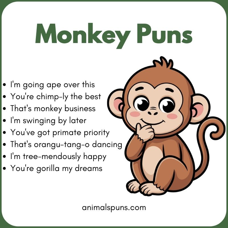 Best Monkey Puns of All Time: monkey pun illustration