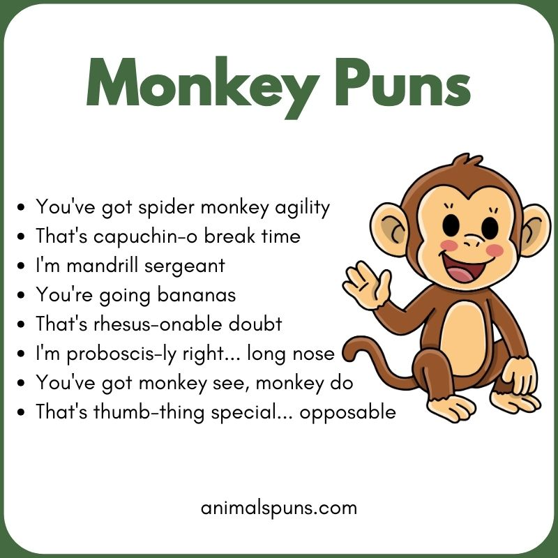 Banana and Food Related Puns: monkey pun illustration
