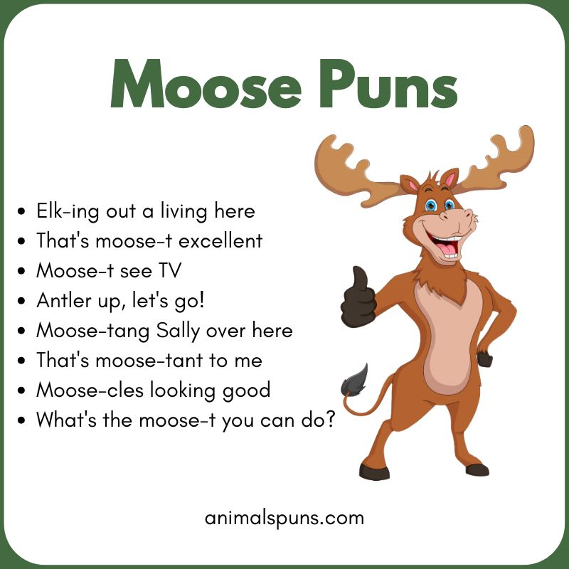 Best Moose Puns of All Time: moose pun illustration