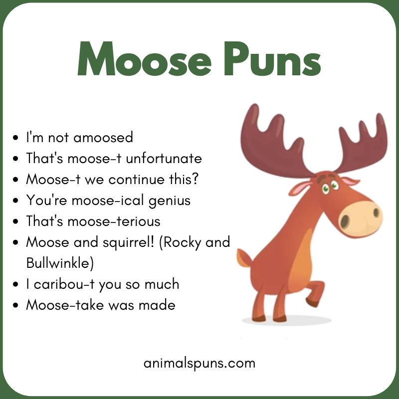 Short One-Liner Moose Puns: moose pun illustration