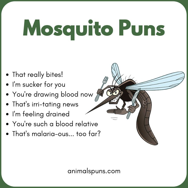 Best Mosquito Puns of All Time: mosquito pun illustration