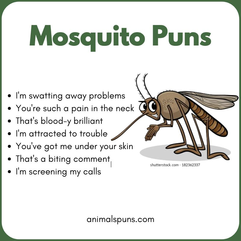 Funny Mosquito Jokes: mosquito pun illustration