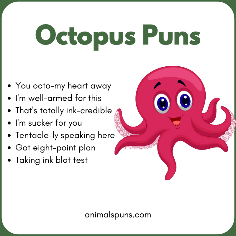 Best Octopus Puns of All Time: octopus pun illustration
