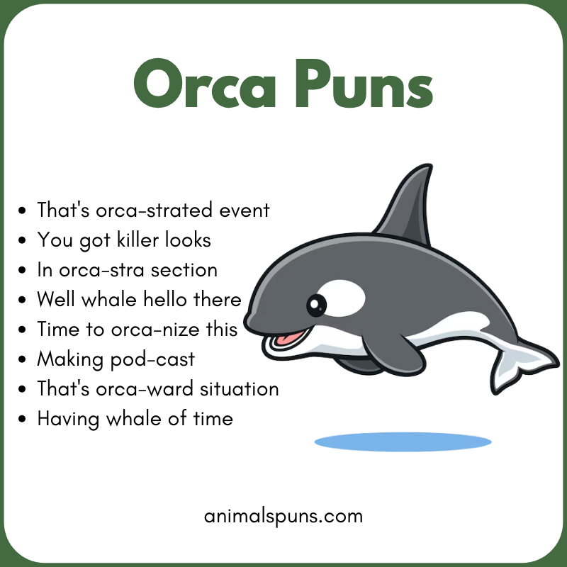 Best Orca Puns of All Time: orca pun illustration