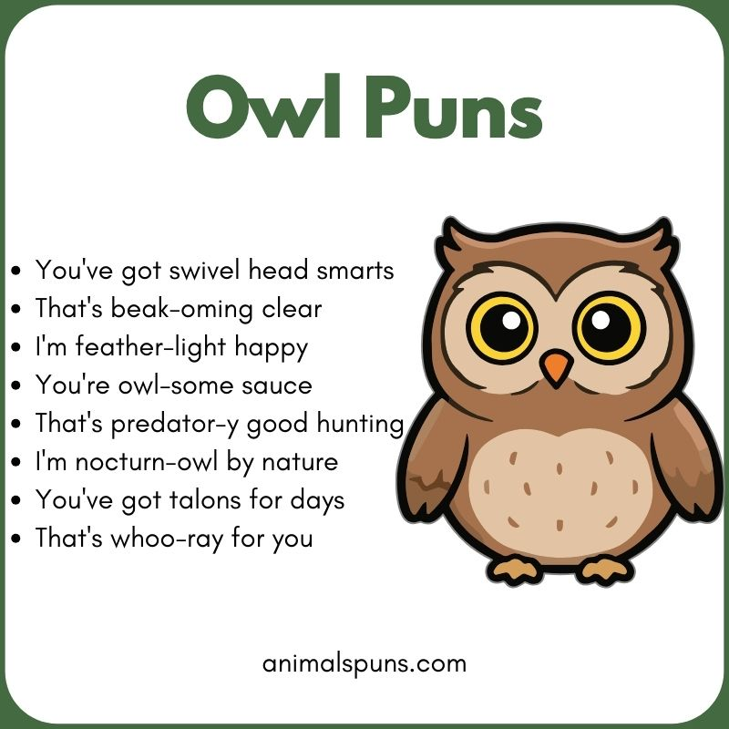 Cute Owl Puns for Cards and Captions: owl pun illustration