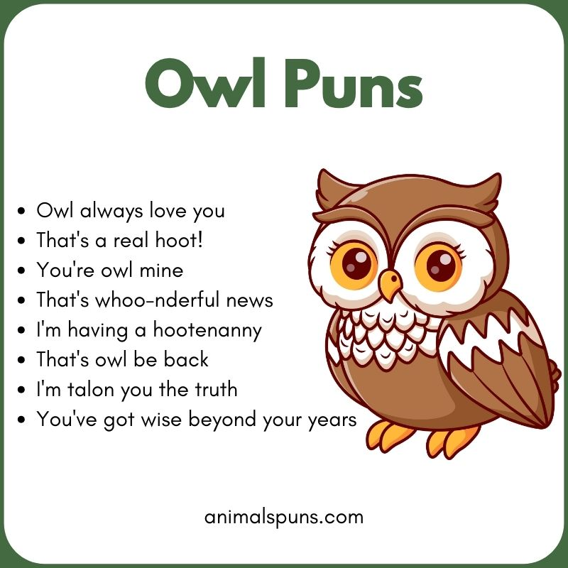 Funny Owl Jokes for Kids: owl pun illustration