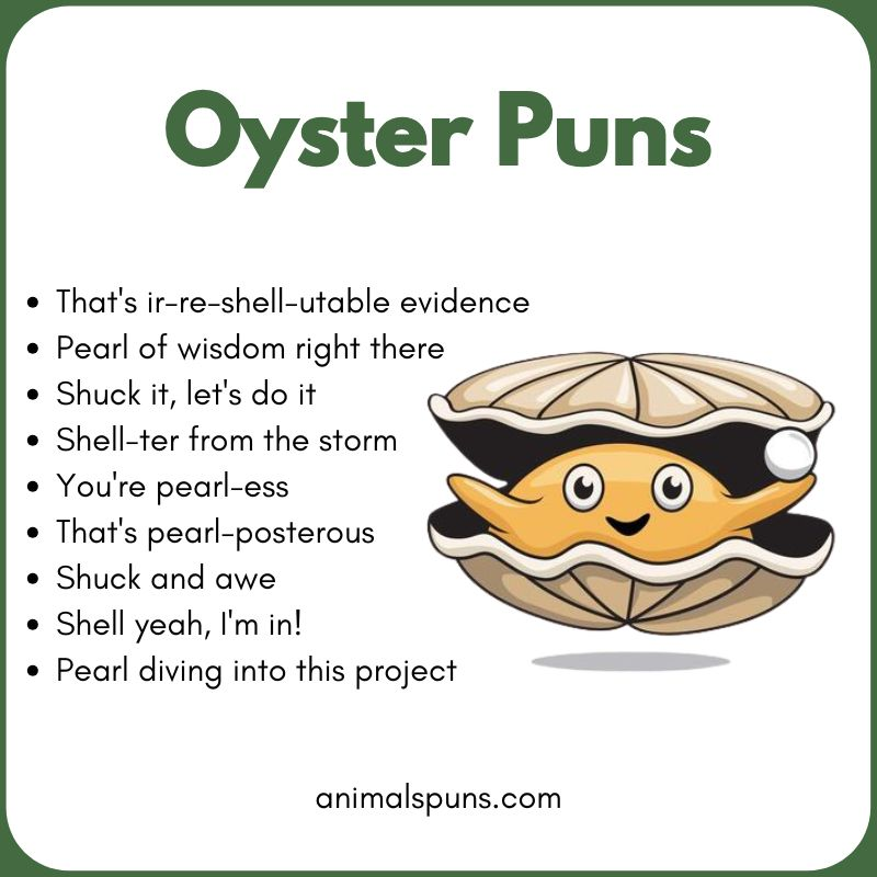 Short One-Line Oyster Puns: oyster pun illustration