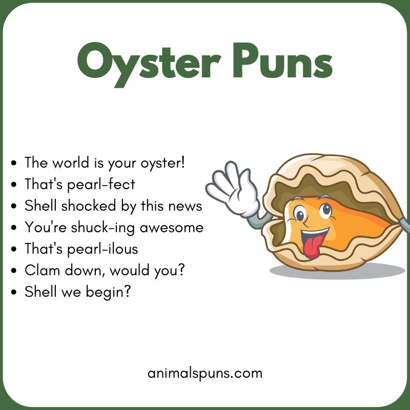 Best Oyster Puns of All Time: oyster pun illustration