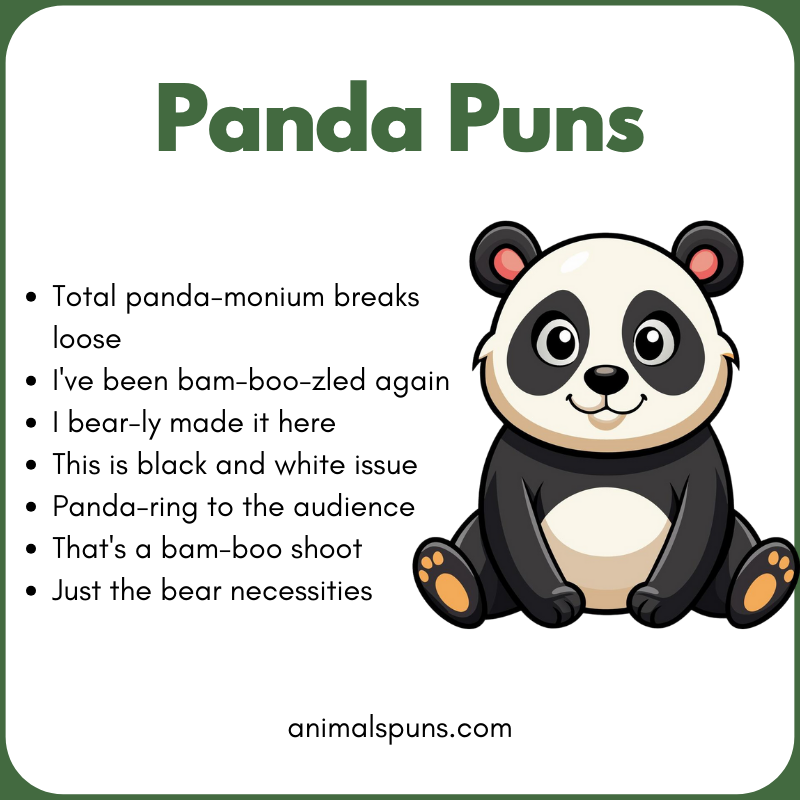 One-Liner Panda Puns: panda pun illustration