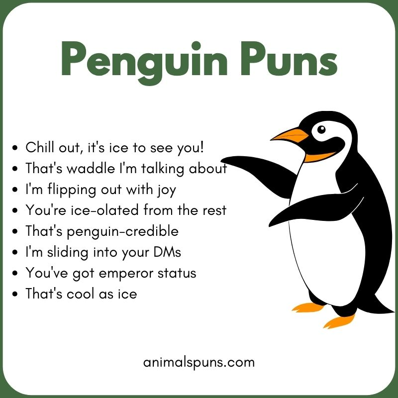 Funny Penguin Puns of All Time: penguin pun illustration