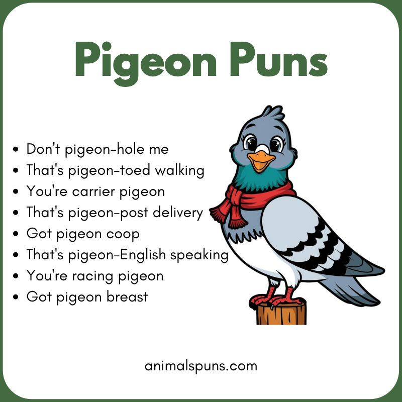 Cute Pigeon Puns 🐦: pigeon pun illustration