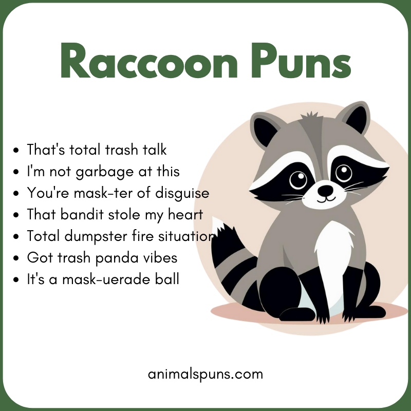 Cute Raccoon Puns for Kids: raccoon pun illustration
