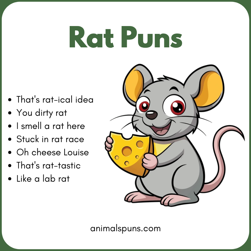 Best Rat Puns of All Time 🐀: rat pun illustration