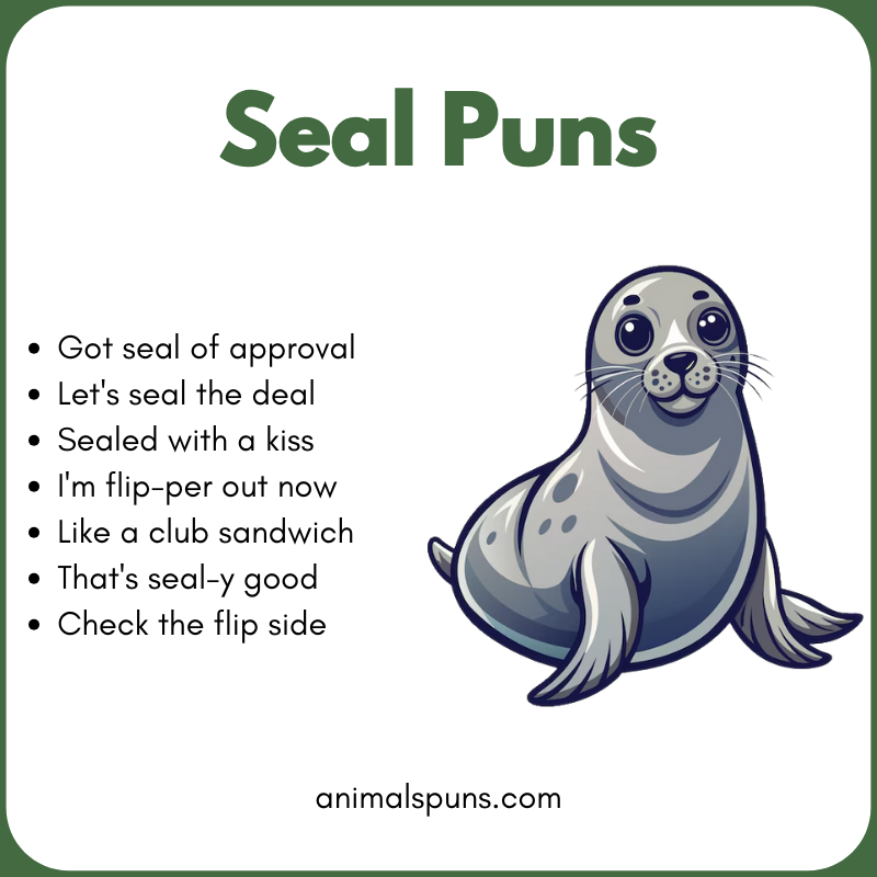 Best Seal Puns of All Time 🦭: seal pun illustration