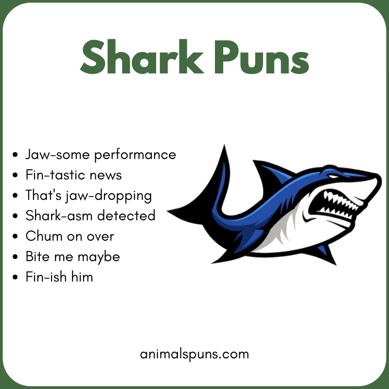 Short One-Liner Shark Puns: shark pun illustration