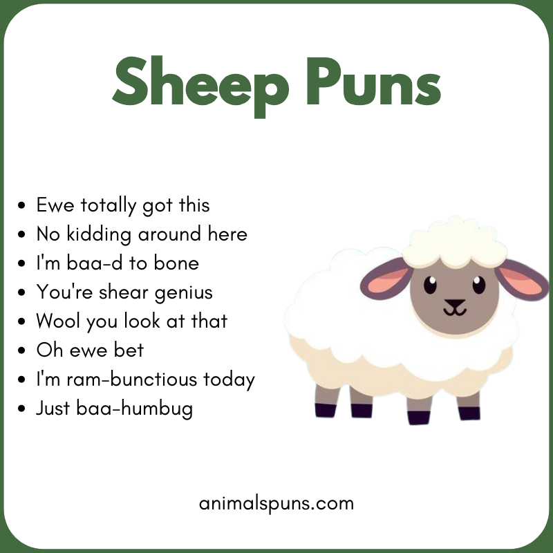 Sheep One-Liners That Hit Instantly: sheep pun illustration