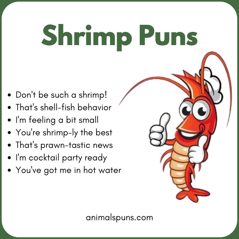 Best Shrimp Puns of All Time: shrimp pun illustration