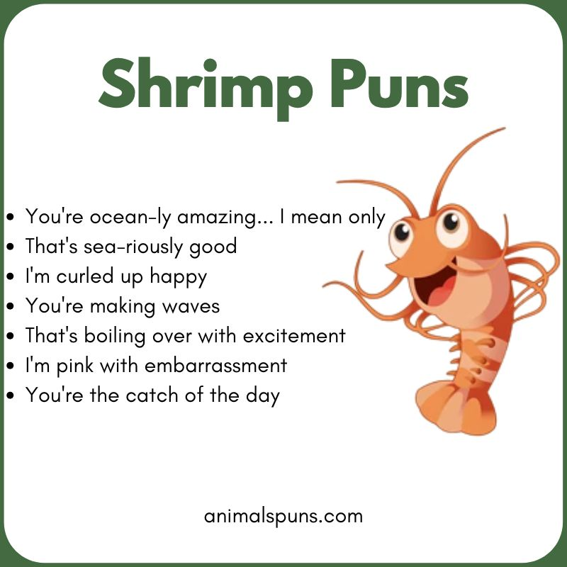 Cute Shrimp Puns for Kids: shrimp pun illustration