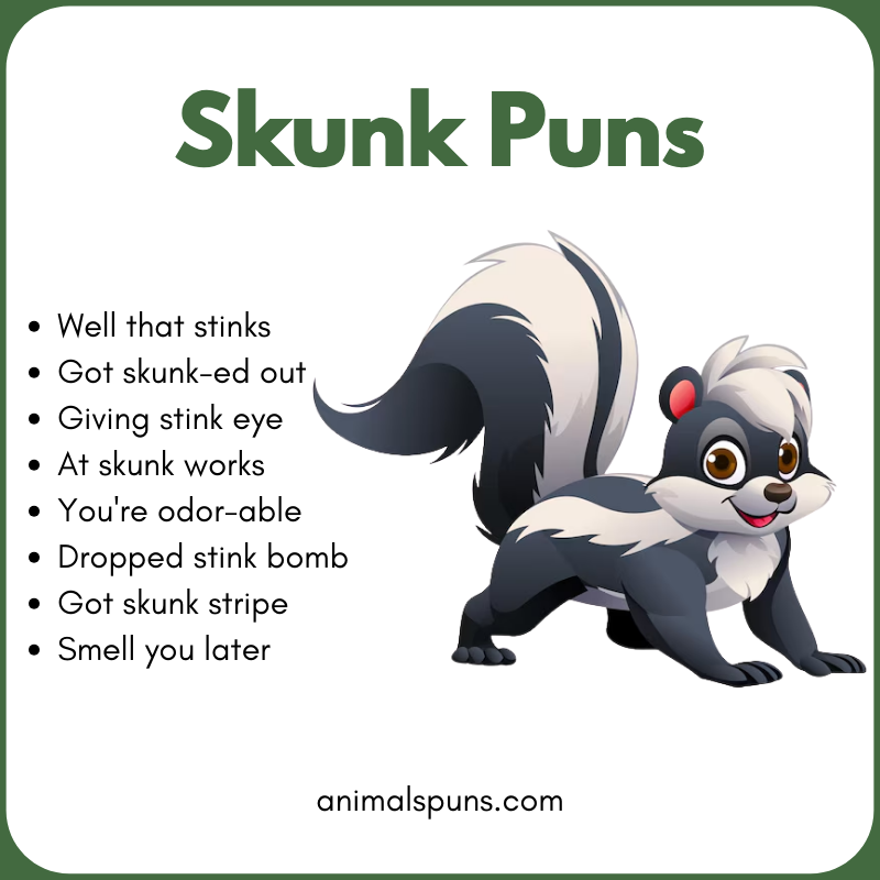 Best Skunk Puns of All Time 🦨: skunk pun illustration