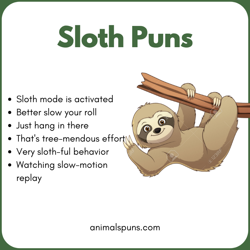 Sloth One-Liner Puns: sloth pun illustration