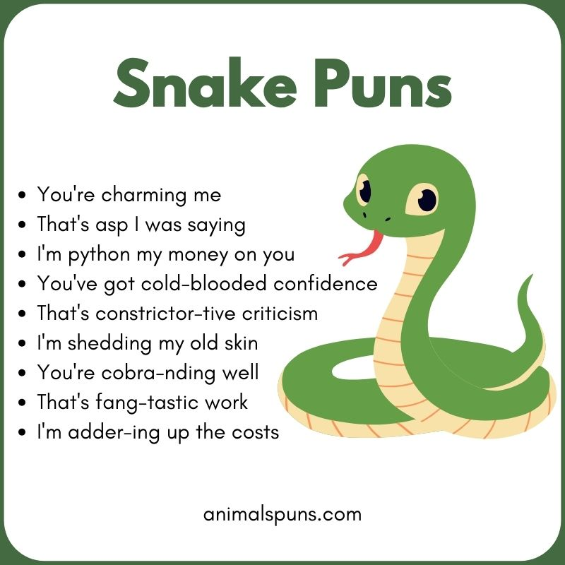 Short One-Liner Snake Puns: snake pun illustration