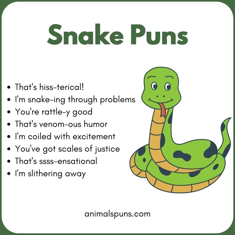 Funny Snake Puns for Kids: snake pun illustration