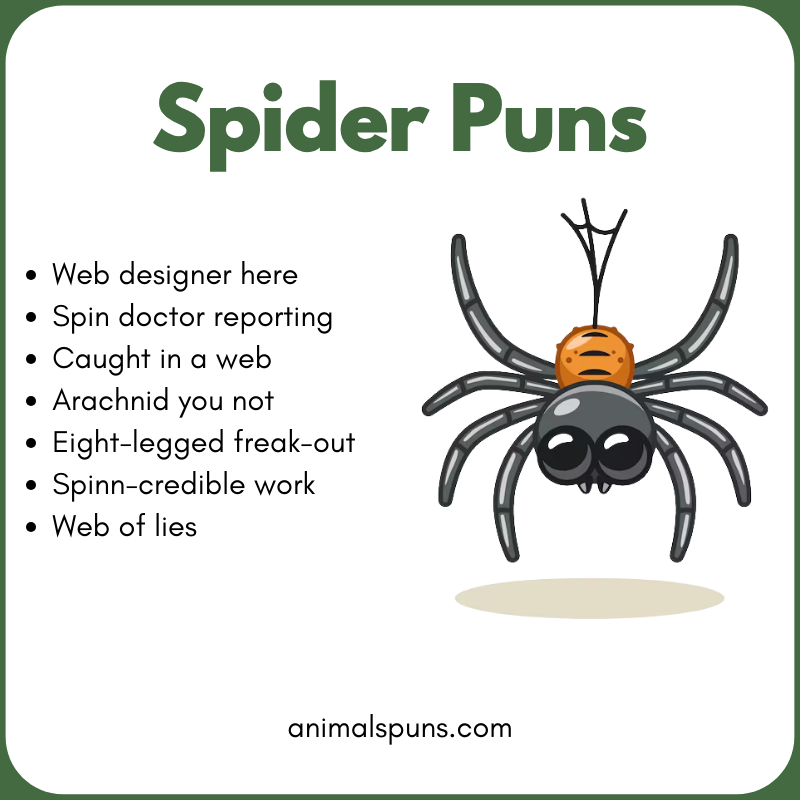 Best Spider Puns of All Time: spider pun illustration