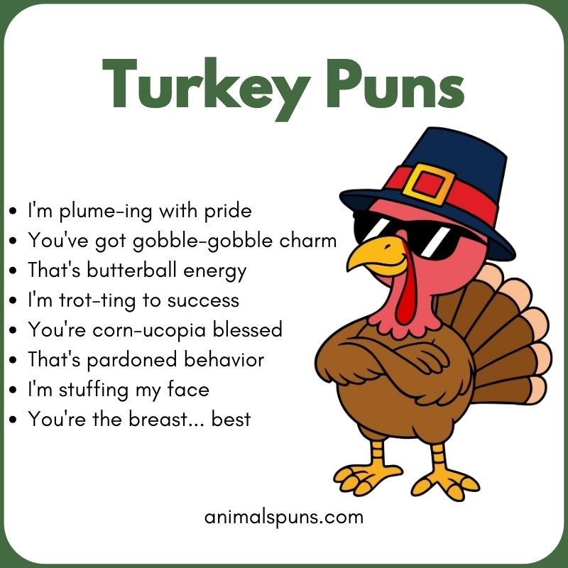 Best Turkey Puns of All Time: turkey pun illustration