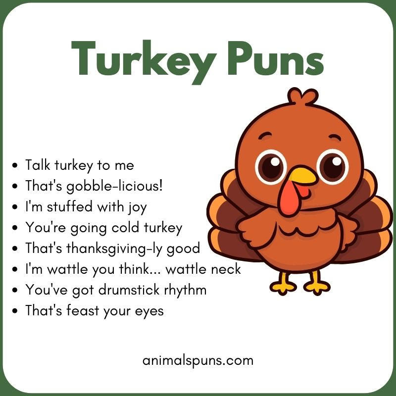 Thanksgiving Turkey Puns: turkey pun illustration
