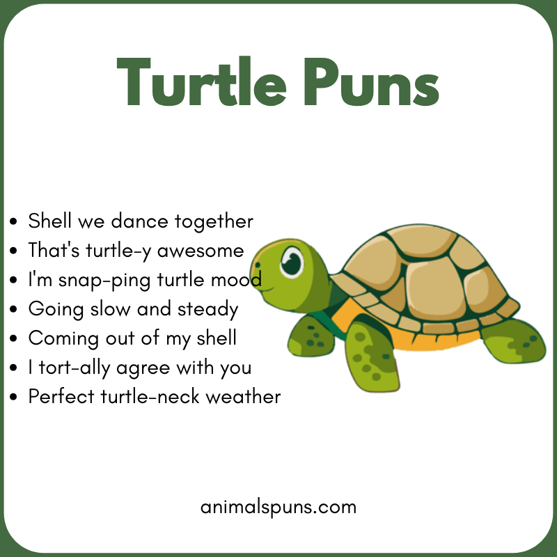 Short One-Liner Turtle Puns: turtle pun illustration