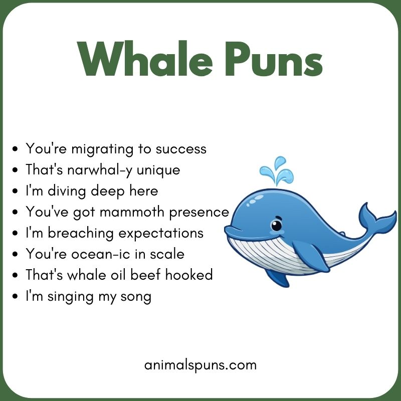 Short One-Liner Whale Puns: whale pun illustration