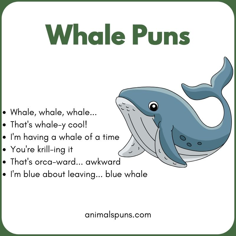 Whale Puns for Instagram Captions: whale pun illustration