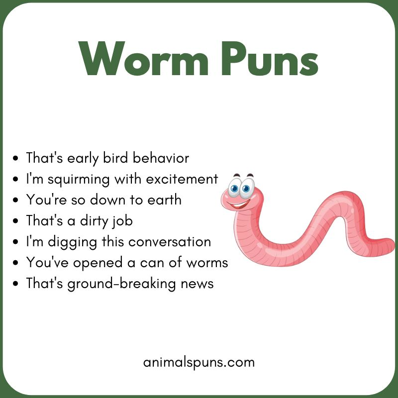 Short One-Line Worm Puns: worm pun illustration