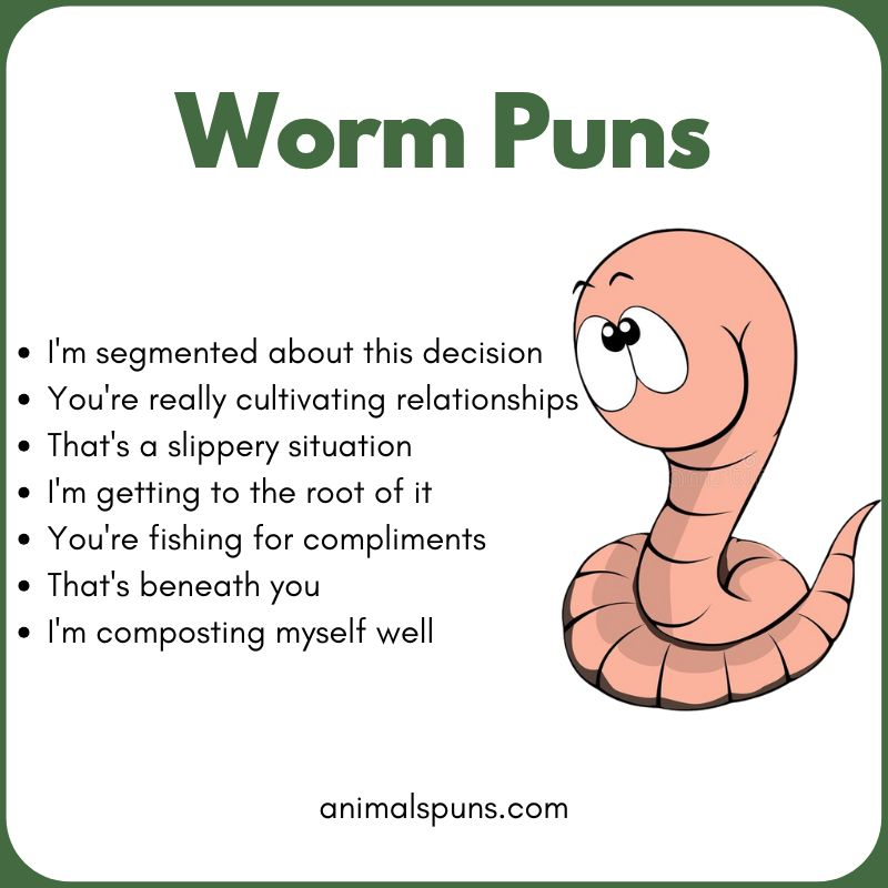 Best Worm Puns of All Time: worm pun illustration